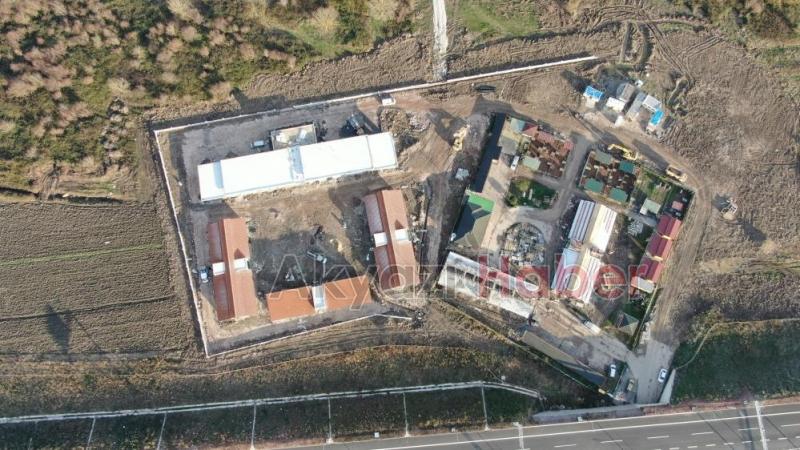 Büyükşehirden sokak hayvanları için dev merkez