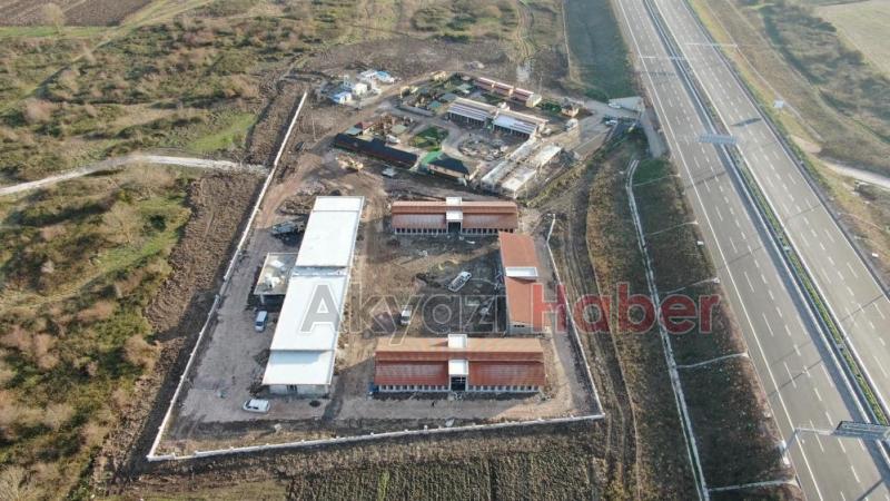 Büyükşehirden sokak hayvanları için dev merkez