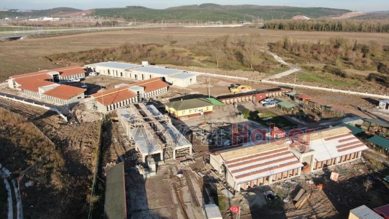 Büyükşehirden sokak hayvanları için dev merkez