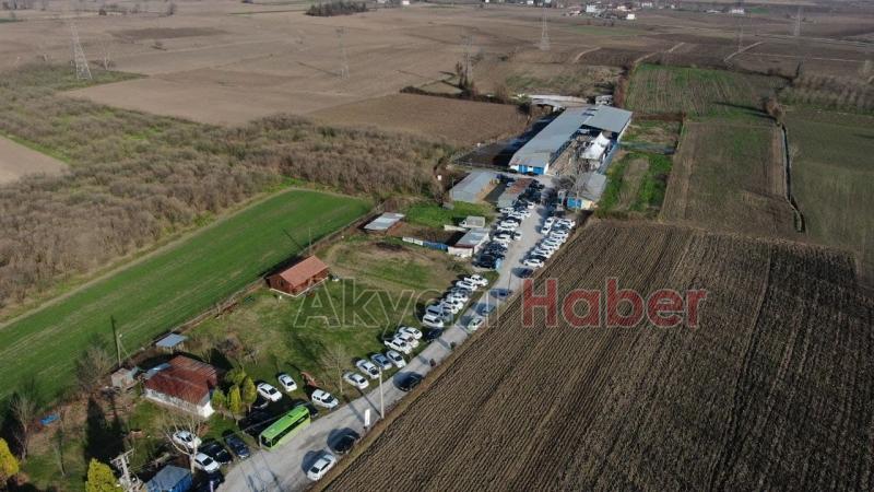 Mozzarella peynirini Sakarya üretecek