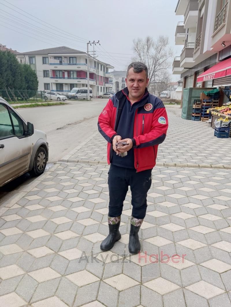 Akyazı'da kuş kurtarma operasyonu