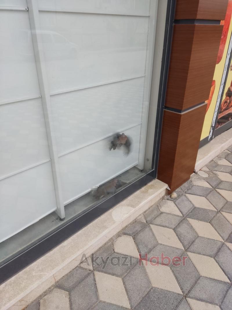 Akyazı'da kuş kurtarma operasyonu