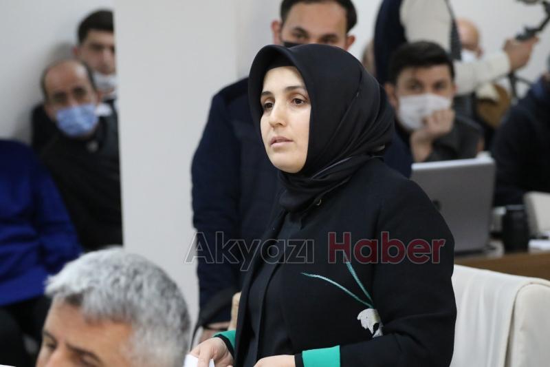 Akyazı’da 'Aktepe Kızak Merkezi’ kurulacak