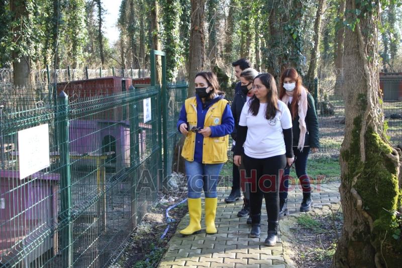 Akyazı Sokak Hayvanları Bakımevi standartların çok üzerinde