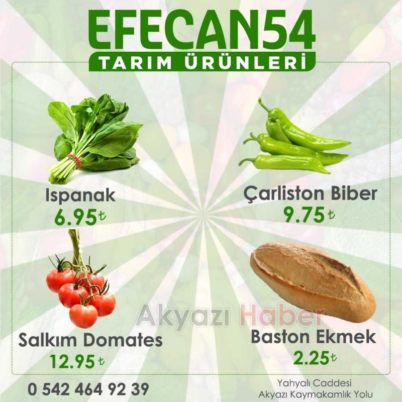 Efecan Tanzim Satış'tan Uygun Fiyatlı ürünler