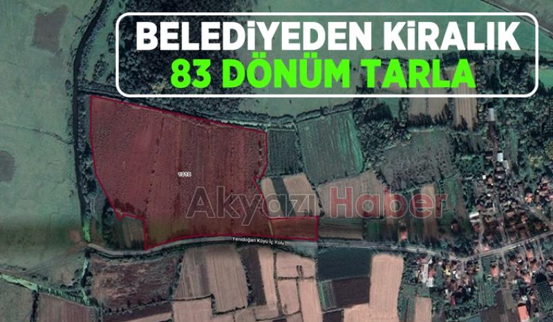 Akyazı Belediyesi 83 dönüm tarlayı 3 yıllığına kiraya veriyor