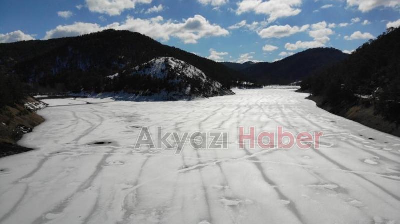 Donan gölde balıklar öldü