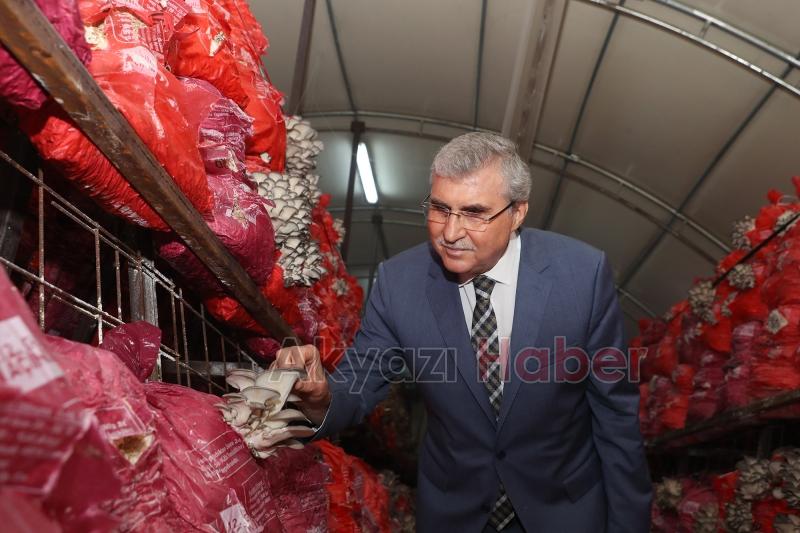 Büyükşehir Türkiye’nin en kaliteli mantarlarını üretecek