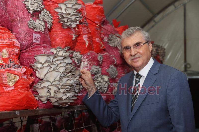 Büyükşehir Türkiye’nin en kaliteli mantarlarını üretecek