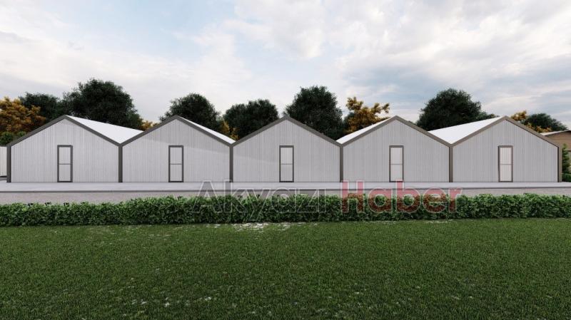 Büyükşehir Türkiye’nin en kaliteli mantarlarını üretecek