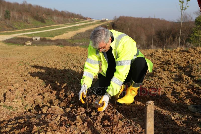 Ekrem Yüce'nin tarımdaki Milli hamleleri ithalatı azaltacak