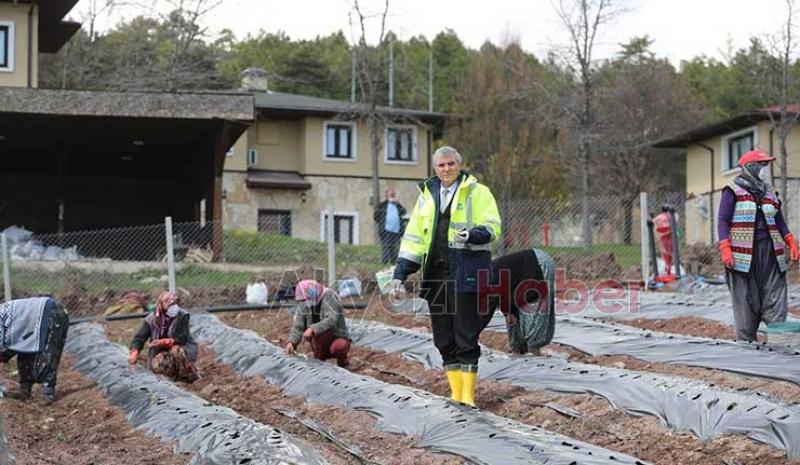 Ekrem Yüce'nin tarımdaki Milli hamleleri ithalatı azaltacak