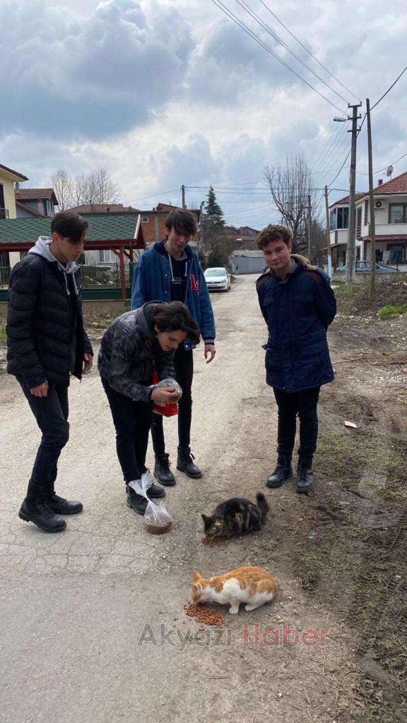 Liseli öğrenciler sokak hayvanlarını besledi