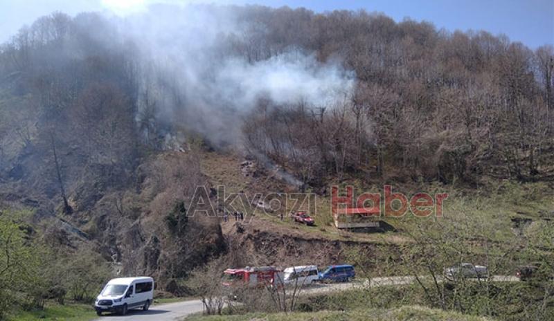 Akyazı'da orman yangını