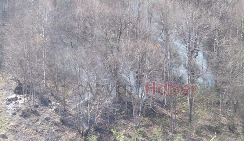 Akyazı'da orman yangını