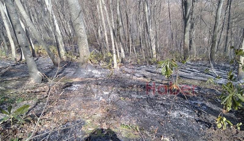 Akyazı'da orman yangını