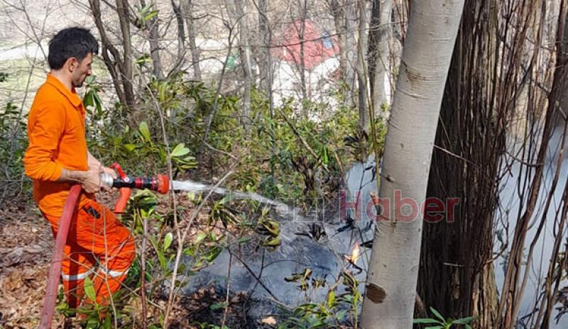 Akyazı'da orman yangını