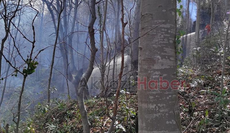 Akyazı'da orman yangını