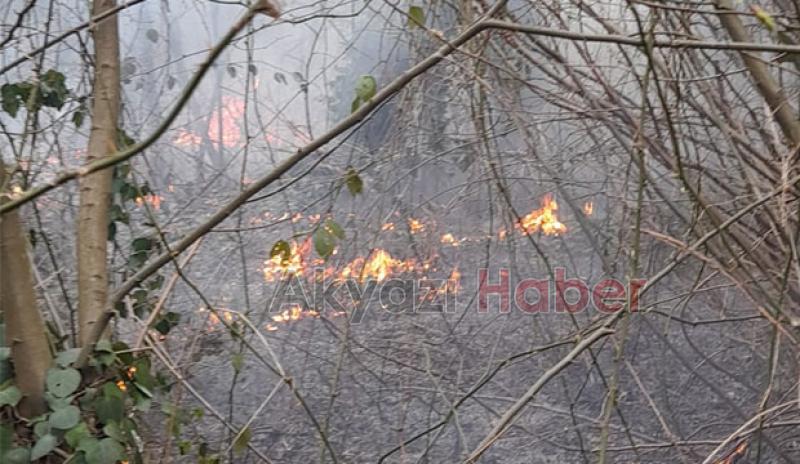 Akyazı'da orman yangını