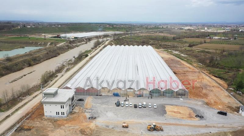 Seracılık Mükemmeliyet Merkezi’nde 65 bin kök domates fidesi dikildi