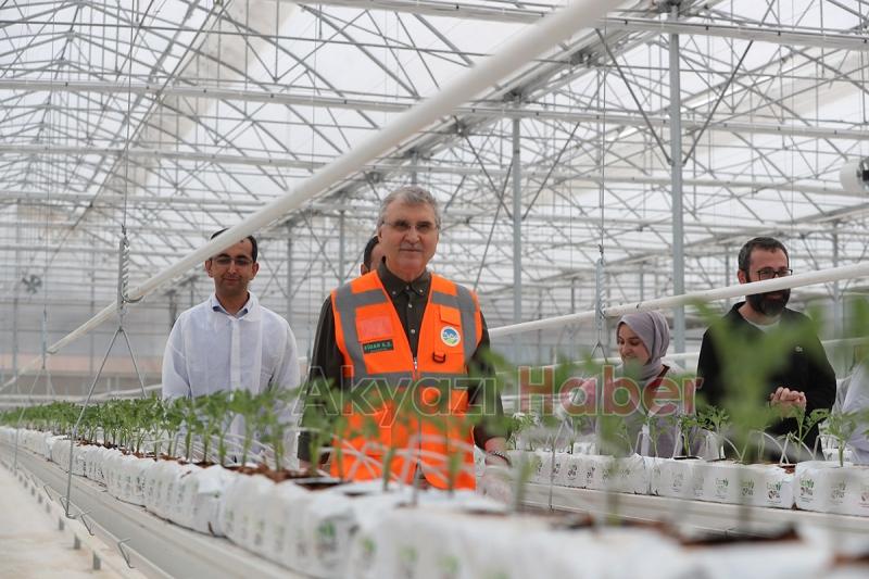 Seracılık Mükemmeliyet Merkezi’nde 65 bin kök domates fidesi dikildi