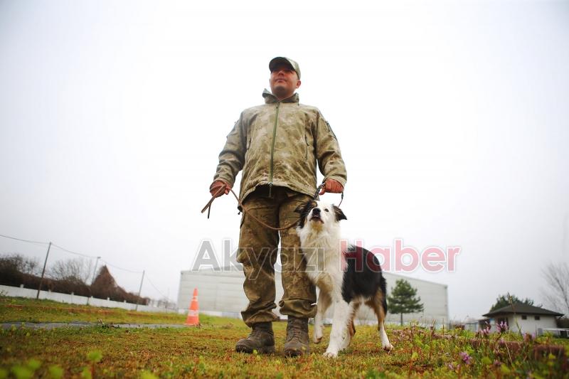 Canları kurtaracak köpekler en zor güne hazırlanıyor