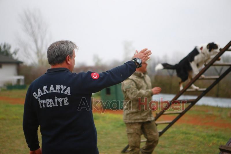 Canları kurtaracak köpekler en zor güne hazırlanıyor