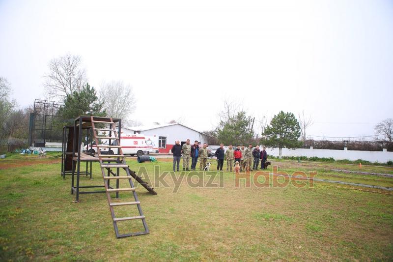 Canları kurtaracak köpekler en zor güne hazırlanıyor