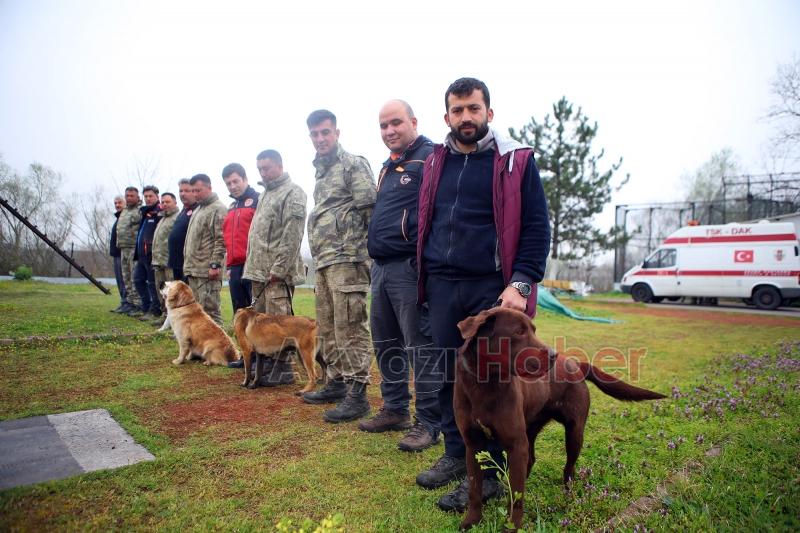 Canları kurtaracak köpekler en zor güne hazırlanıyor