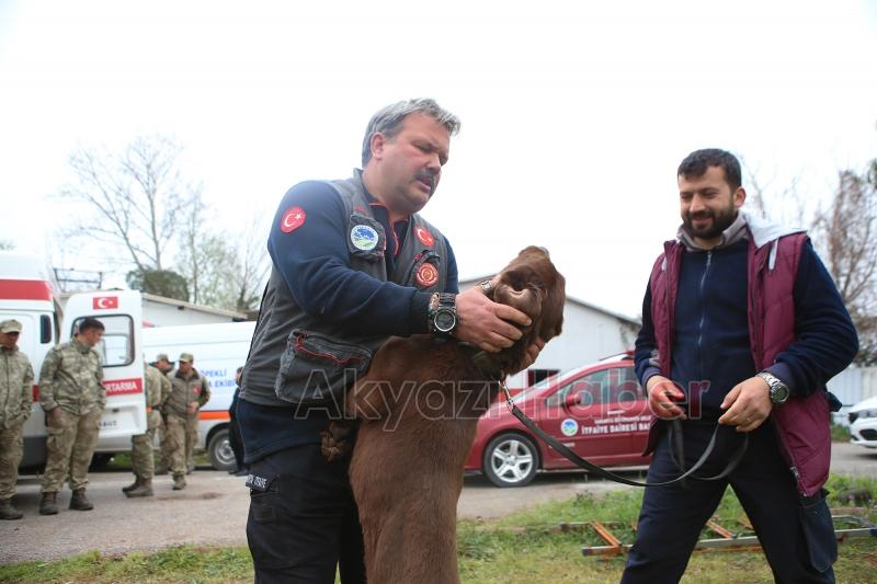 Canları kurtaracak köpekler en zor güne hazırlanıyor