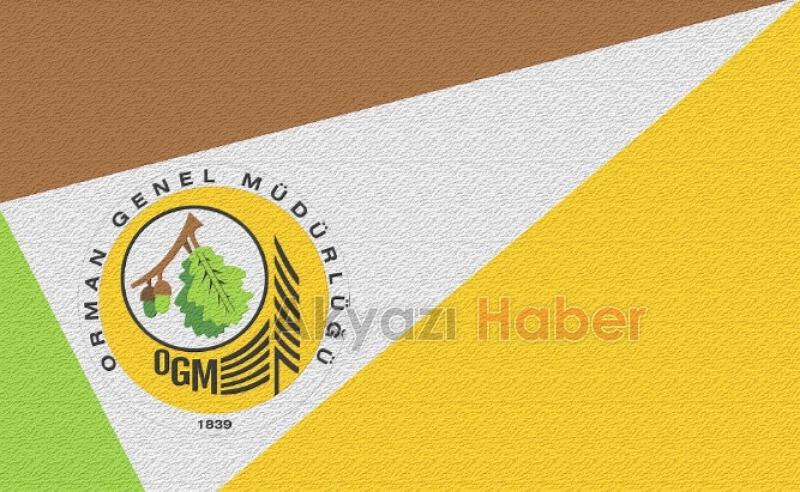 Orman Genel Müdürlüğü Sakarya'da 103 personel alıyor