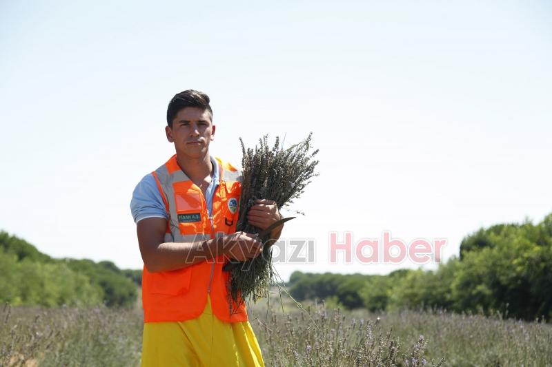 Dünyanın en büyük aromatik bahçesinde bahar bereketi