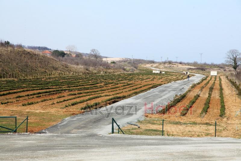 Dünyanın en büyük aromatik bahçesinde bahar bereketi
