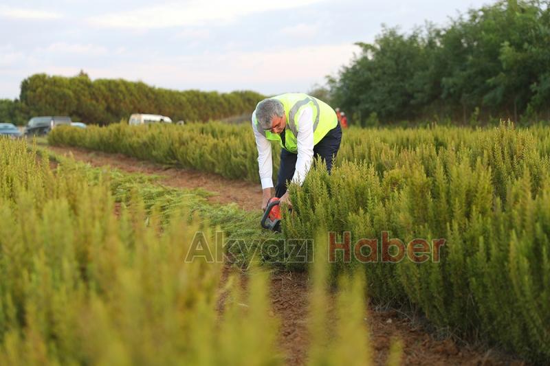 Yüce, tarım projelerini anlattı