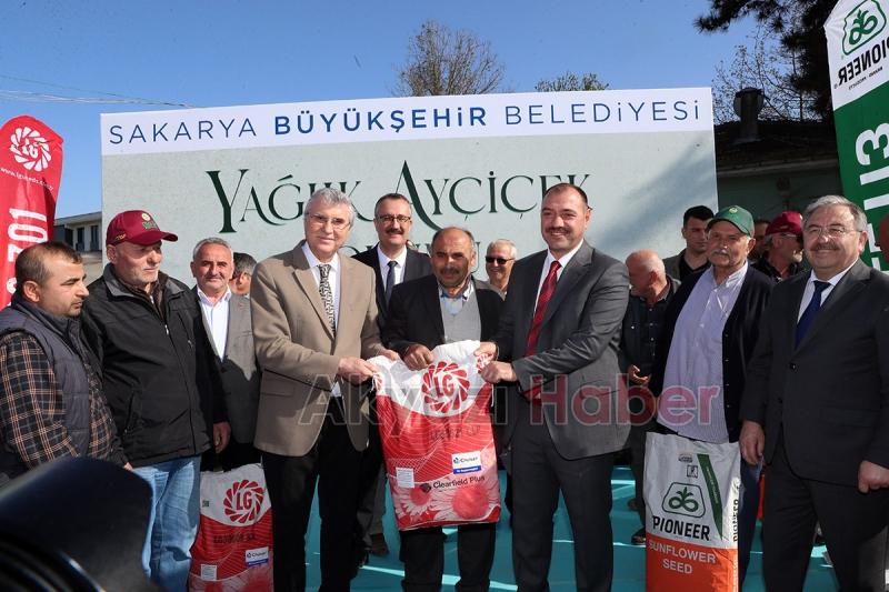 Sakaryalı çiftçilere yağlık ayçiçeği tohumu dağıtıldı
