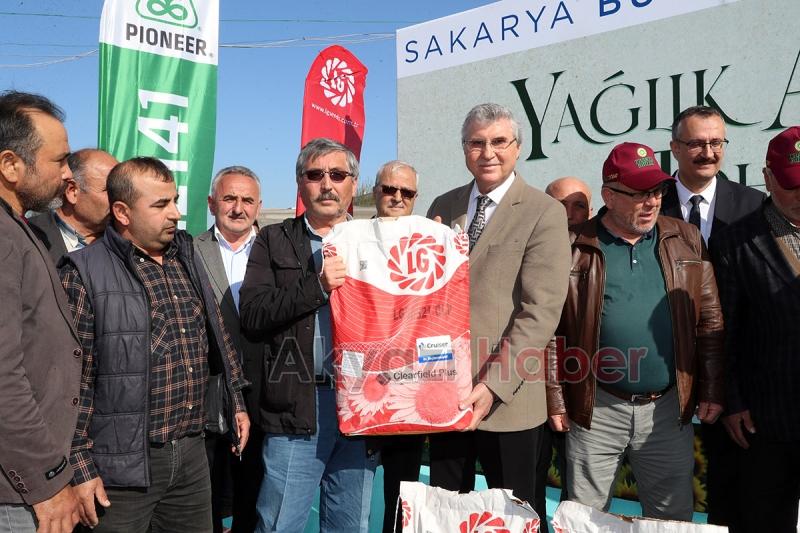 Sakaryalı çiftçilere yağlık ayçiçeği tohumu dağıtıldı