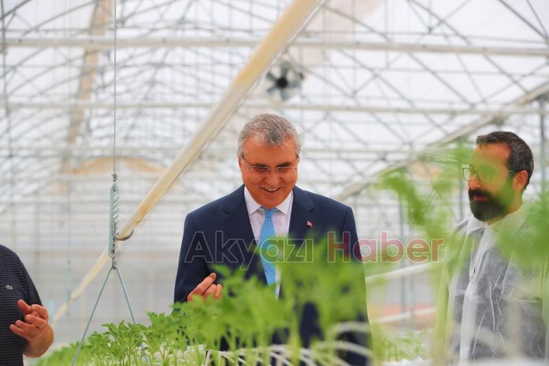 Büyükşehirin Akyazı'daki serasında ilk tohumlar yeşerdi