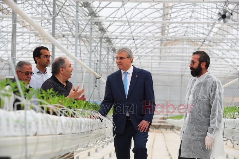 Büyükşehirin Akyazı'daki serasında ilk tohumlar yeşerdi