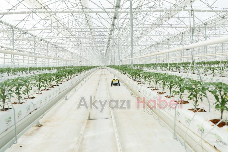 Büyükşehirin Akyazı'daki serasında ilk tohumlar yeşerdi