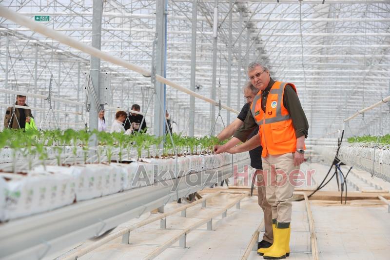 Büyükşehirin Akyazı'daki serasında ilk tohumlar yeşerdi