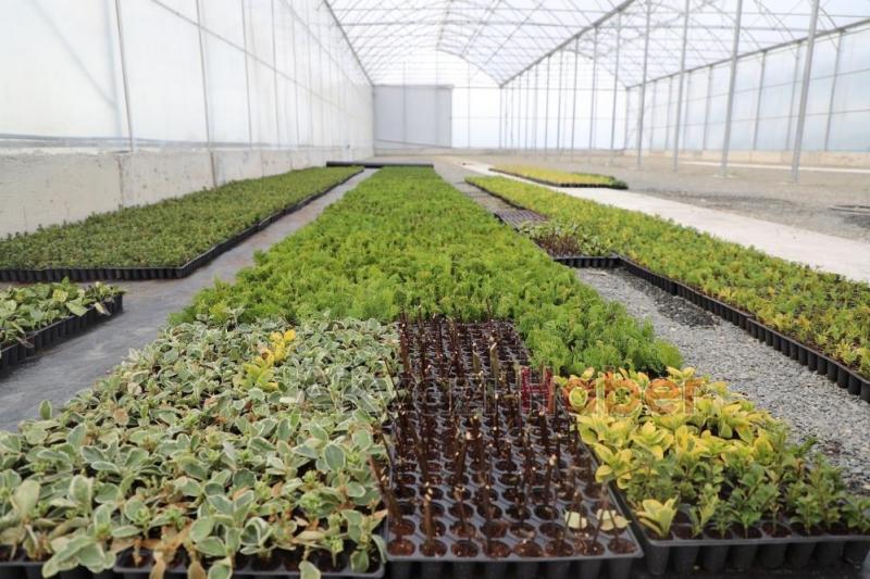 Büyükşehirin projeleri tarıma öncü olacak