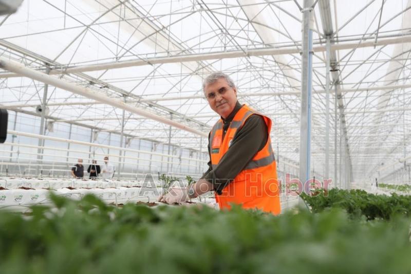 Büyükşehirin projeleri tarıma öncü olacak