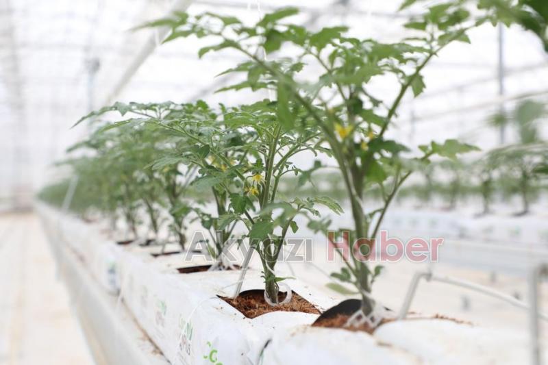 Büyükşehirin projeleri tarıma öncü olacak