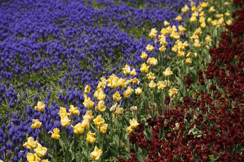 Sakarya bayrama hazır