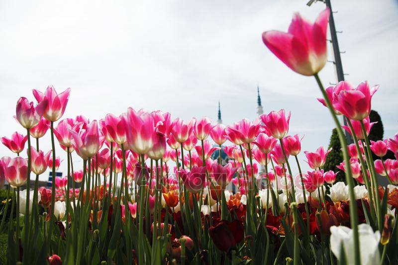 Sakarya bayrama hazır