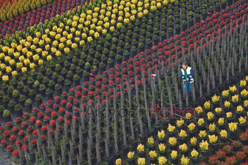 179 dekar alan üretim üssü haline dönüştü