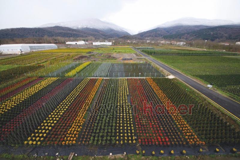 179 dekar alan üretim üssü haline dönüştü
