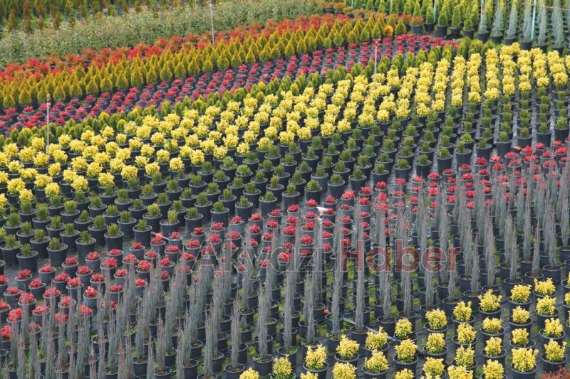 179 dekar alan üretim üssü haline dönüştü