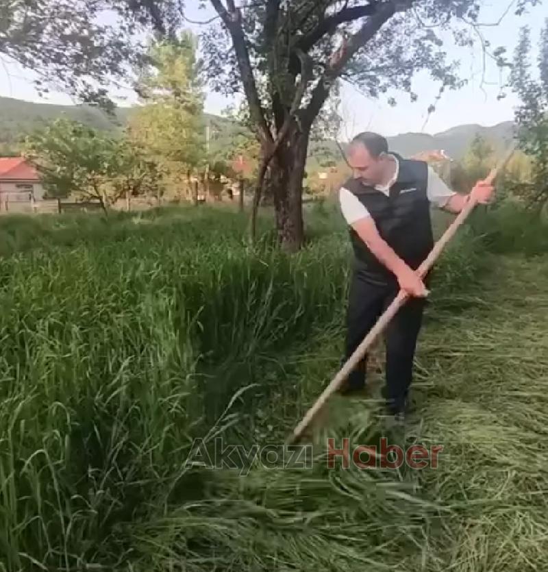 Vali Kaldırım ile Başkan Soykan tırpanla ot biçti