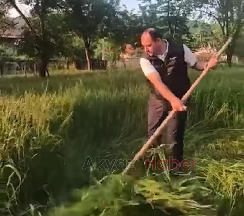 Vali Kaldırım ile Başkan Soykan tırpanla ot biçti